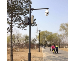 拉萨路灯监控杆-LB-03