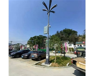 拉萨太阳能路灯安装价格